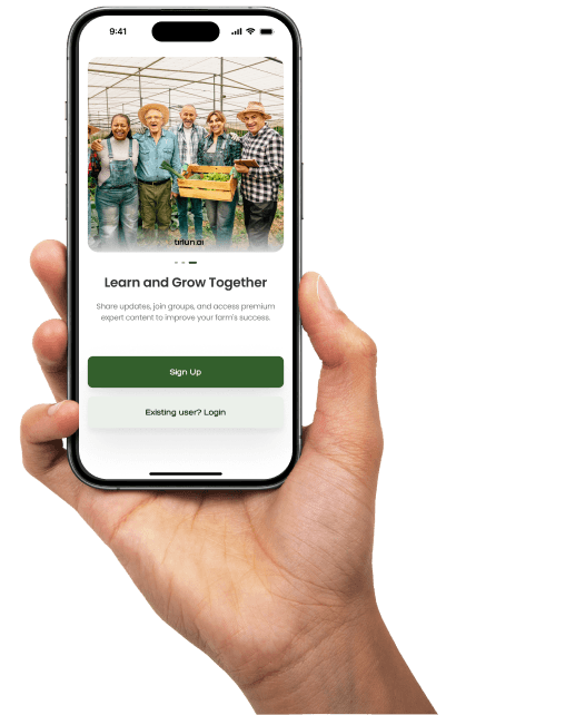 hand holding mobile app